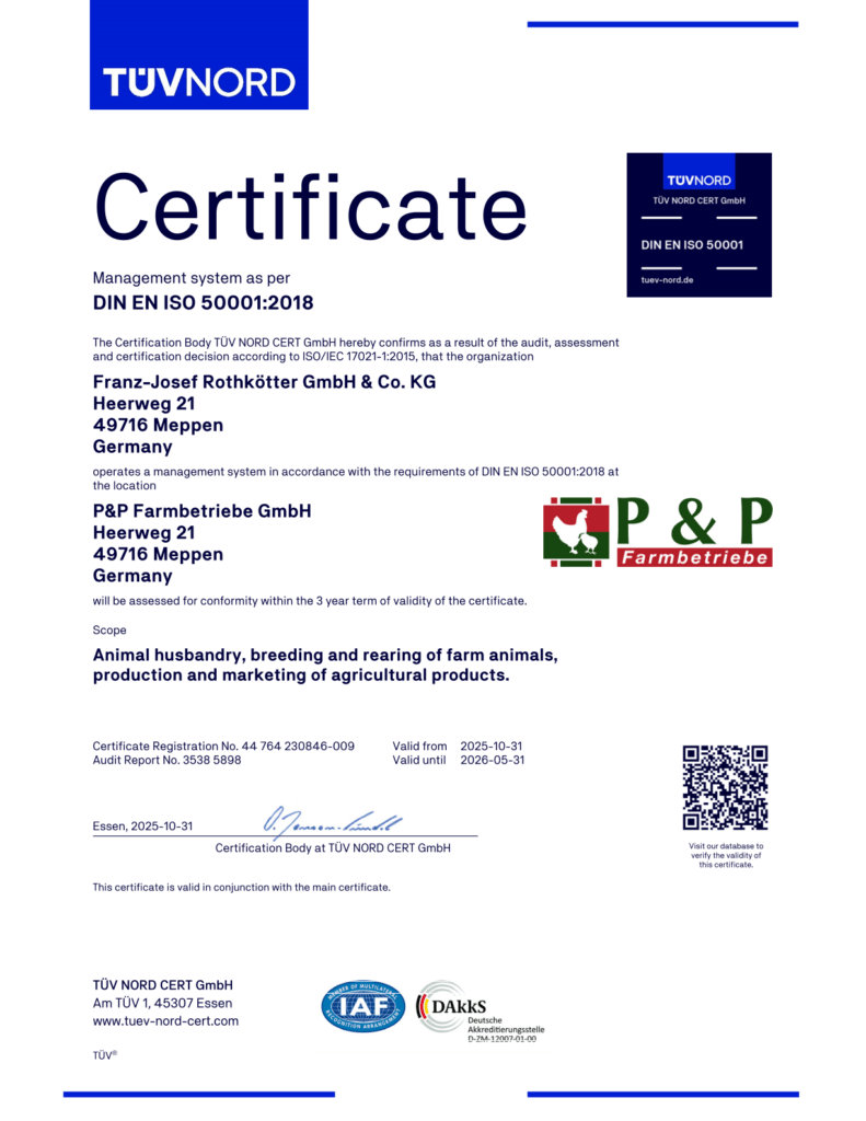 230846 P&P Franz Josef Rothkötter GmbH & Co. KG 50001 2.ÜA En 26 Pet PDF 1